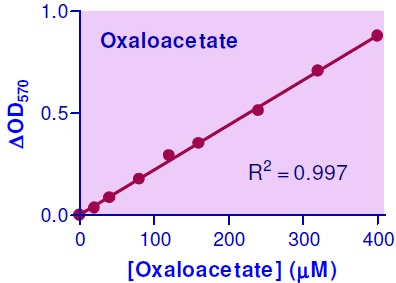オキサロ酢酸検量線・比色法
