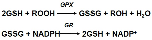 GPX反応
