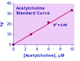 アセチルコリン酢酸検量線・蛍光法
