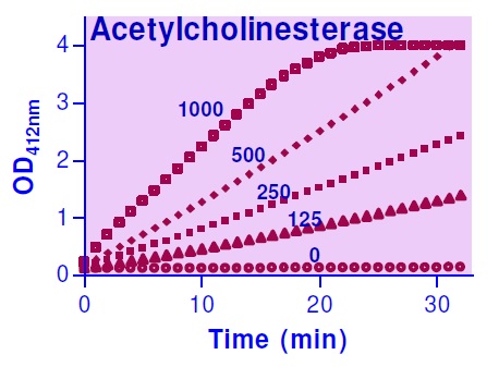 アセチルコリンエステラーゼ反応のカイネティック測定例