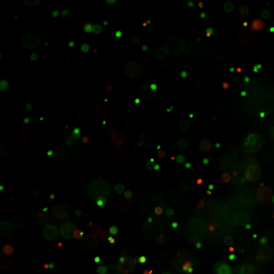 Cyto3D-AOPI-SF298-cells-overlay