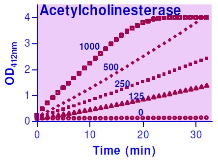 アセチルコリンエステラーゼカイネティック反応曲線例