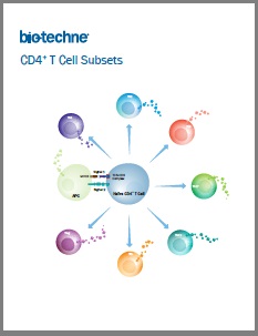 CD4+ T Cell Subsets brochure