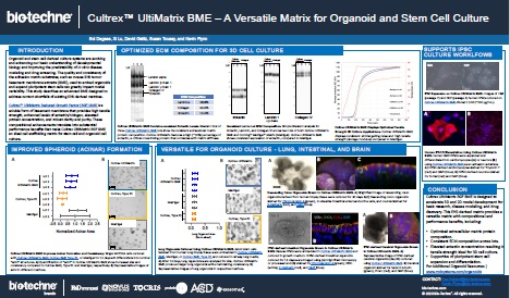 Cultrex UltiMatrix BME-A Versatile Matrix for Organoid and Stem Cell Culture