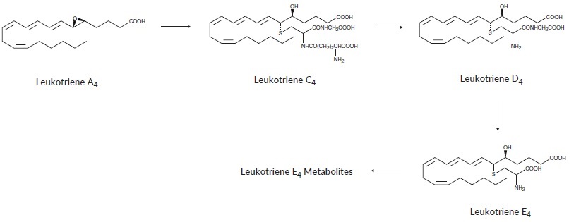 Leukotriene