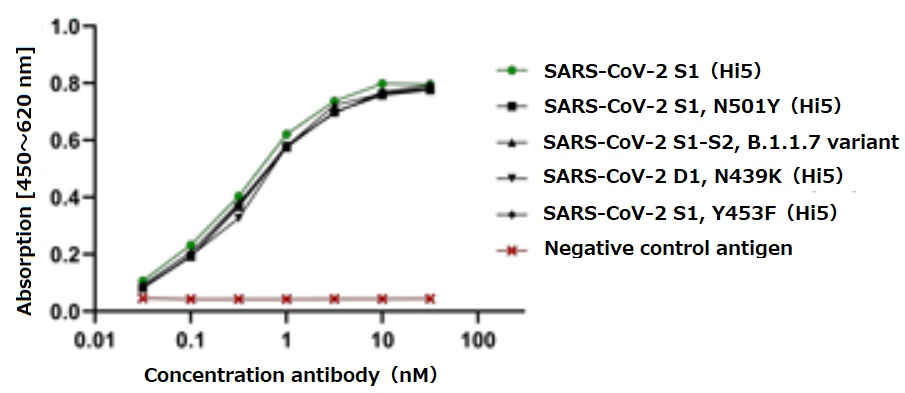 抗新型コロナウイルス（SARS-CoV-2）抗体（Adipogen社） | Anti-SARS 