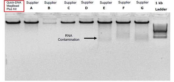 RNA除去の比較