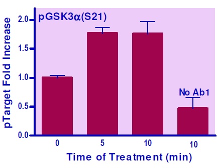 NIH 3T3細胞中のGSK3A（S21）のリン酸化誘導の測定例
