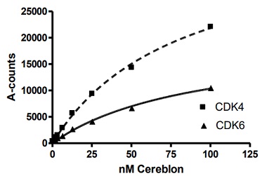 BSJ-03-204を介したCDKとCereblon間の相互作用の解析