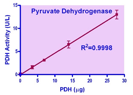 QuantiChrom Pyruvate Dehydrogenase Assay Kit（#DPDH-100）の検量線例