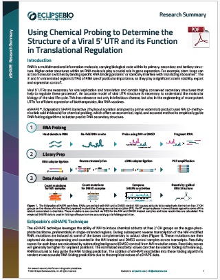Using Chemical Probing to Determine the Structure of a Viral 5’UTR and its Function in Translational Regulation