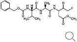 Z-VAD-FMK<br> (Cell permeable）