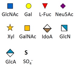 糖鎖コンポーネント中のSNFG記号の説明