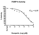 PARP14 Chemiluminescent Assay Kit（#80568）-Rucaparib阻害曲線例