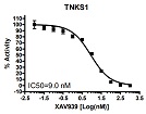 TNKS1 Histone Ribosylation Assay Kit(Biotin-labeled NAD<sup>+</sup>)（#80573）-XAV939阻害曲線例