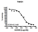 TNKS1 Histone Ribosylation Assay Kit(Biotin-labeled NAD+)（#80579）-XAV939阻害曲線例