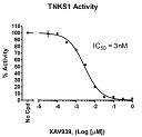 TNKS1 Histone Ribosylation Assay Kit (Antibody Detection)（#80574）-XAV939阻害曲線例