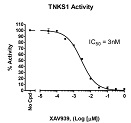 TNKS1 Histone Ribosylation Assay Kit (Antibody Detection)（#80575）-XAV939阻害曲線例
