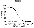 TNKS1 Histone Ribosylation Colorimetric Assay Kit（#80582）-XAV939阻害曲線例