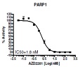 PARP1 Chemiluminescent Assay Kit（#80569）-AZD2281阻害曲線例