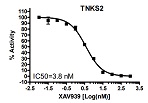 TNKS2 Histone Ribosylation Assay Kit(Biotin-labeled NAD+)（#80572）-XAV939阻害曲線例