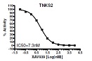 TNKS2 Histone Ribosylation Colorimetric Assay Kit（#80583）-AZD2281阻害曲線例