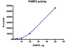 PARP2 Homogeneous Assay Kit（#80702）検量線例