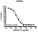 PARP2 Colorimetric Assay Kit（#80581）-AZD2281阻害曲線例