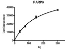 PARP3 Chemiluminescent Assay Kit（#80553）検量線例