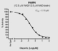 PARP6 Chemiluminescent Assay Kit（#80556）-Olaparib阻害曲線例