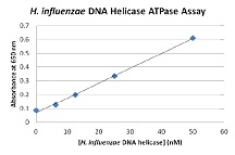 H. influenzae Helicase ATPase Assay Kitの検量線例