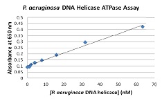 P. aeruginosa Helicase ATPase Assay Kitの検量線例