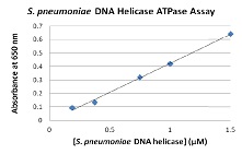 S. pneumoniae Helicase ATPase Assay Kitの検量線例
