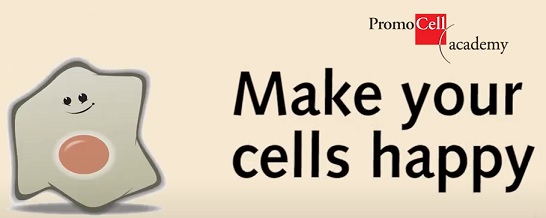 Make your cells happy
