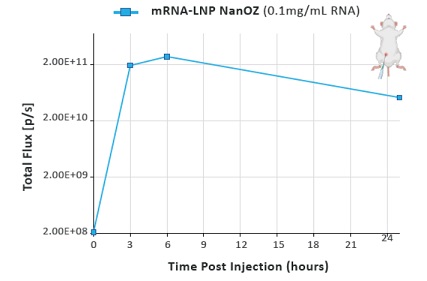 NanOZ-LNP/mRNA（Luc）（RNA 10 μg相当量）をヌードマウスへ腹腔内投与後48時間にわたる生物発光シグナルの継時変化