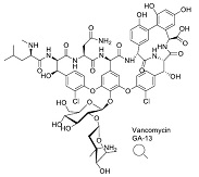 Vancomycin HCl