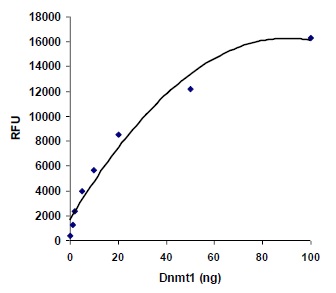 組換え体DNMT1の酵素活性測定例