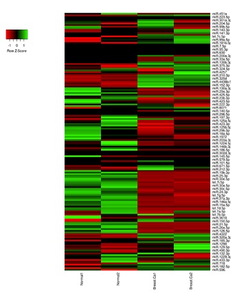 正常血清および乳がん血清におけるmiRNA発現プロファイルの差異を示したヒートマップ