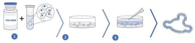 三次元細胞カプセル化法