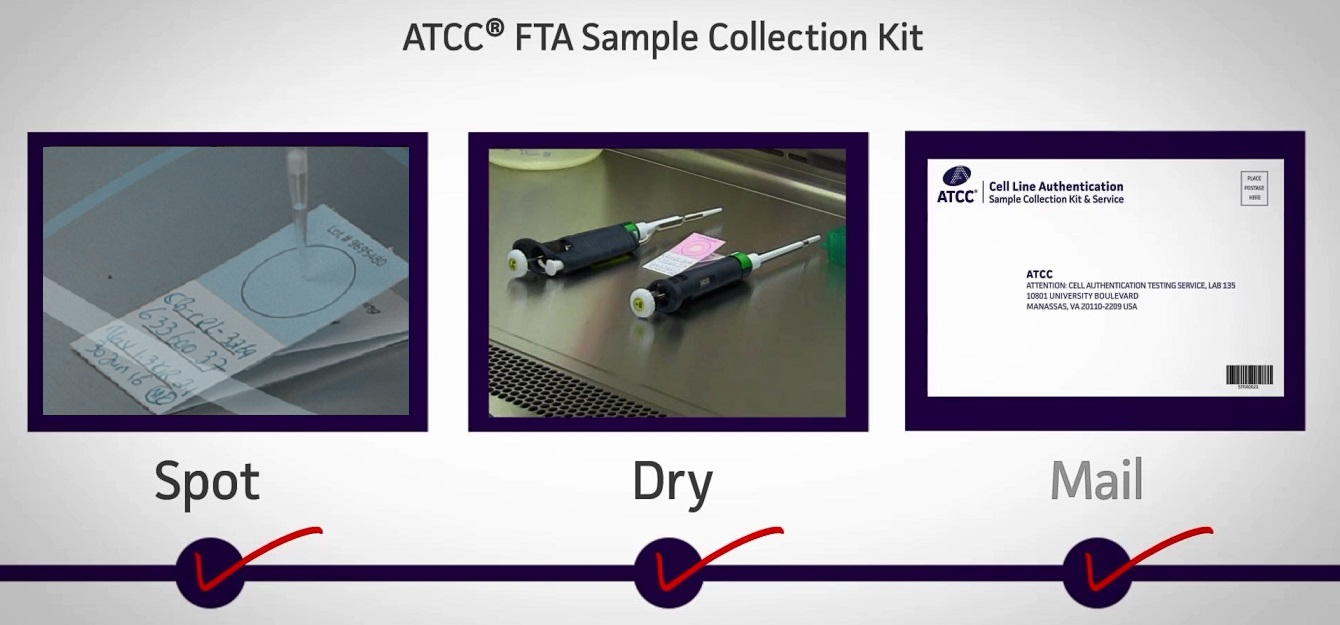FTA Sample Collection Kit のご利用方法
