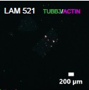 VitroINK-LAM521×4