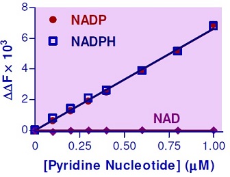 EnzyFluo NADP+ / NADPH Assay Kit検量線（蛍光法）