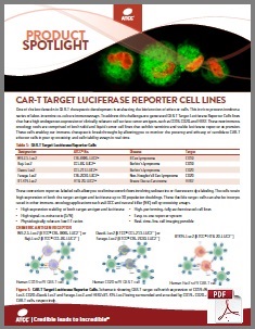 Product Spotlight：CAR-T Target Luciferase Reporter Cell Lines