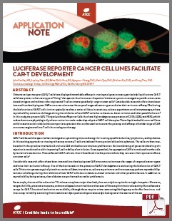 Application Note：Luciferase Reporter Cancer Cell Lines Facilitate CAR-T Deveropment