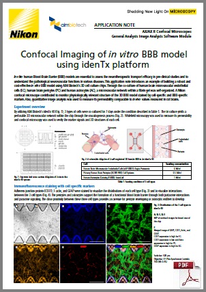 Confocal Imaging of in vitro BBB modelusing idenTx platform