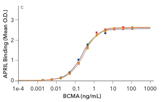 図C：蛍光標識タンパク質の3つの異なるロットのロット間における生物活性の一貫性の検証