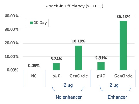 Knock-in Efficiency(%FITC+