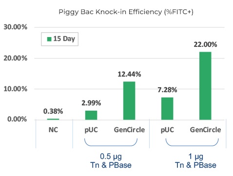 Piggy Bac Knock-in Efficiency(%FITC+