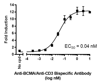 BCMA CHO Recombinant Cell Line （High Expression）（#79500-H）