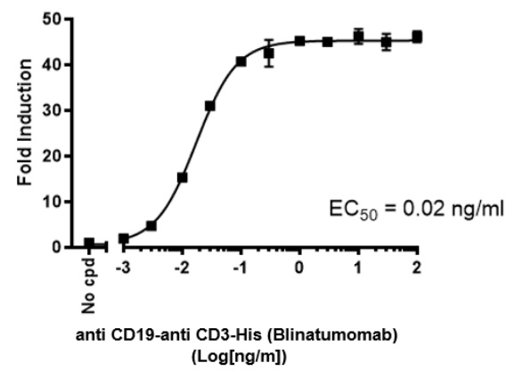 NFAT Jurkat: CD19<sup>+</sup> Raji細胞の存在下でのCD19xCD3 BiTEによるJurkatレポーターの活性化